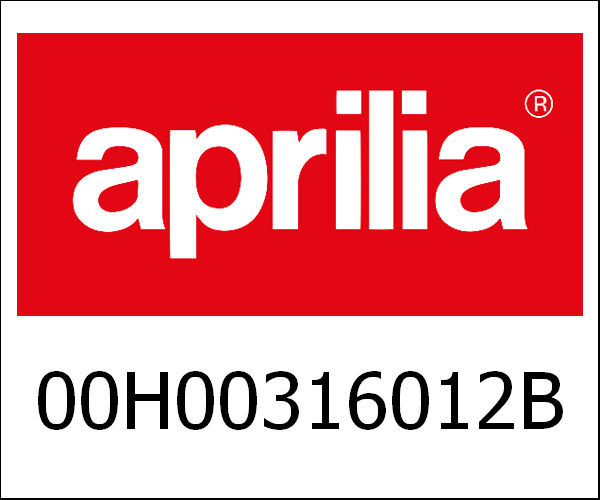 APRILIA / アプリリア純正 Swinging Arm|00H00316012B