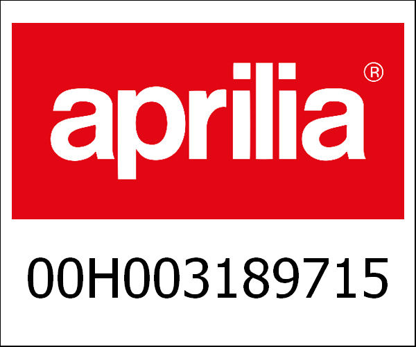 APRILIA / アプリリア純正 Swing Arm Sub-Assy|00H003189715
