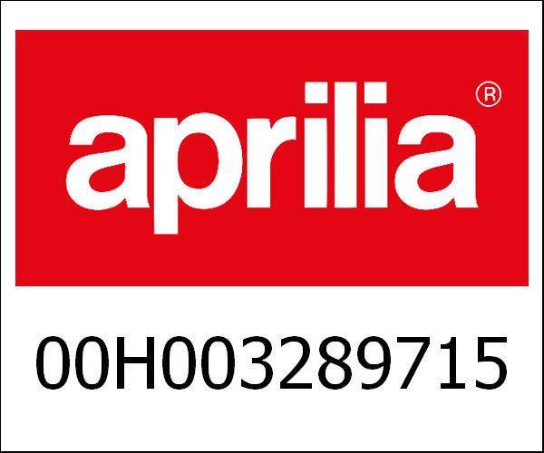 APRILIA / アプリリア純正 Swing Arm Sub-Assy|00H003289715