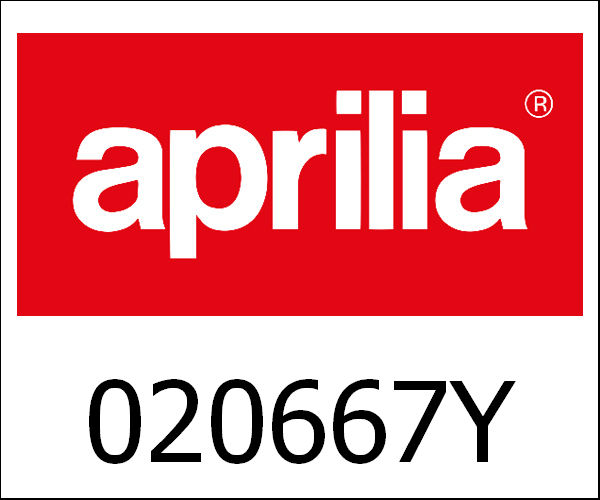 APRILIA / アプリリア純正 Tools Key For Fork Pin|020667Y