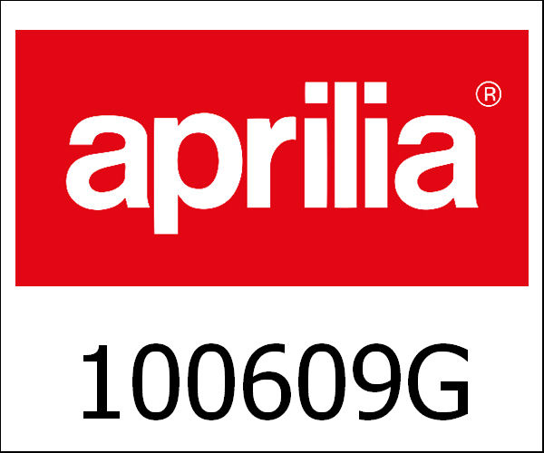 APRILIA / アプリリア純正 Chassis|100609G