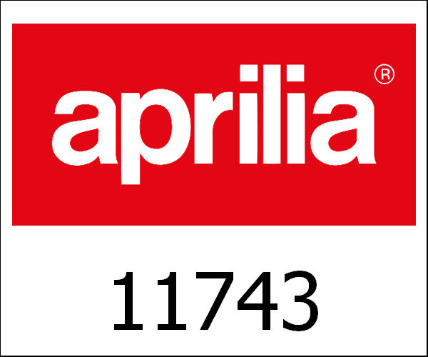 APRILIA / アプリリア純正 Ring Set Ii Ouversize D.56,9|11743