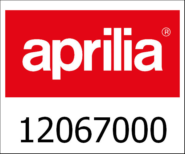 APRILIA / アプリリア純正 Screw 6M100X70|12067000