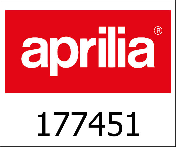 APRILIA / アプリリア純正 Steering Pin|177451