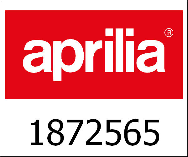APRILIA / アプリリア純正 Front Part|1872565