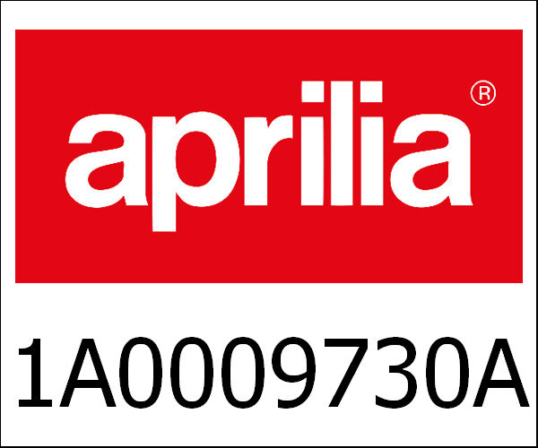 APRILIA / アプリリア純正 Complete Crankcase 1St Class|1A0009730A