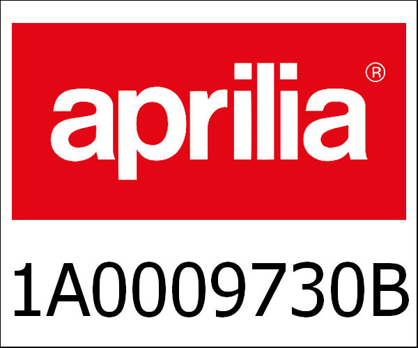 APRILIA / アプリリア純正 Complete Crankcase 2Ď˝°St Class|1A0009730B