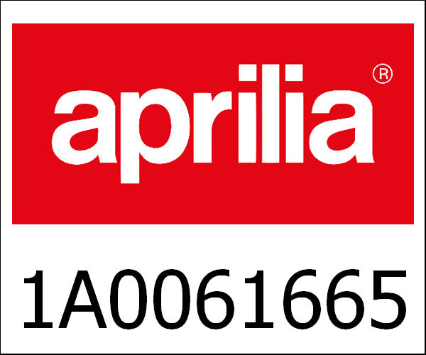 APRILIA / アプリリア純正 Complete Muffler With Protection|1A0061665