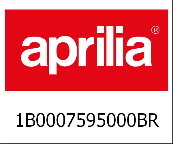 APRILIA / アプリリア純正 Front Fender With I.P. (Painted)|1B0007595000BR