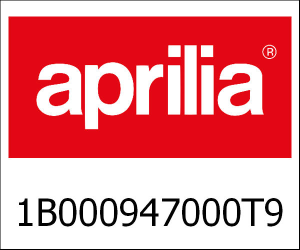 APRILIA / アプリリア純正 Front Mudguard Candy Coral Orange 889/A|1B000947000T9