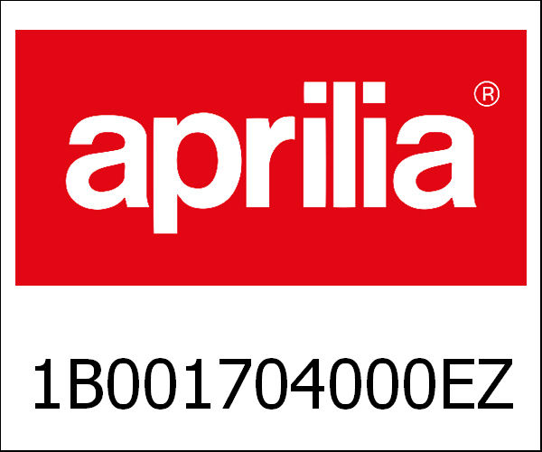 APRILIA / アプリリア純正 Rear Body Closing Titanium Grey 742/B|1B001704000EZ