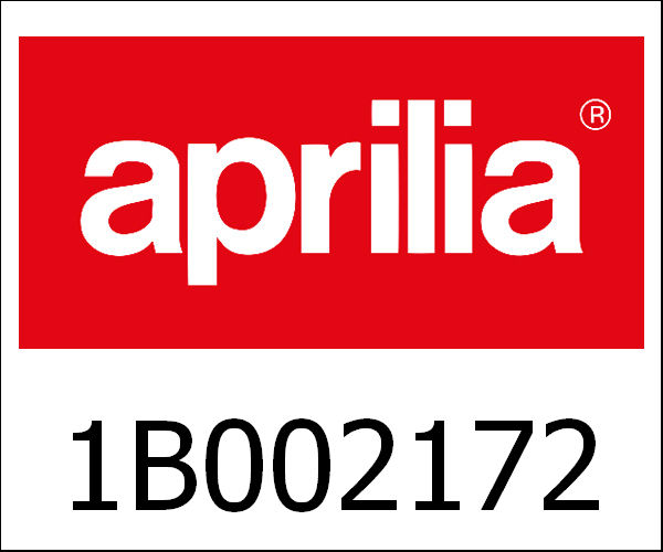 APRILIA / アプリリア純正 (D.F.)Rear Support With I.P.|1B002172