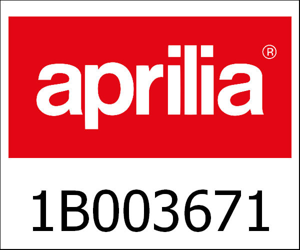 APRILIA / アプリリア純正 Buddyseat 70Th Anniversary Version|1B003671