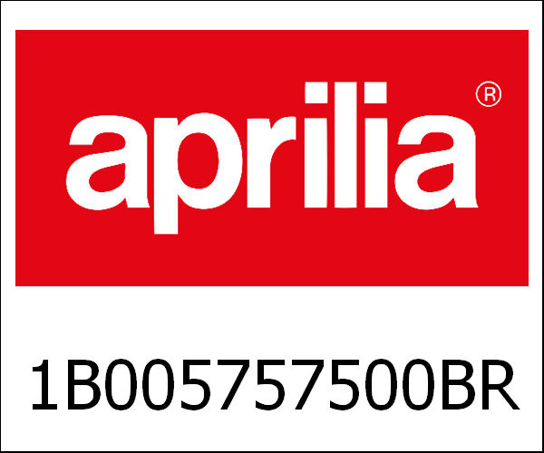 APRILIA / アプリリア純正 Frame Fusion White 544|1B005757500BR