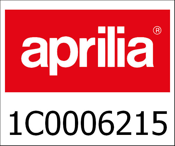 APRILIA / アプリリア純正 Front Fork Gts Abs|1C0006215