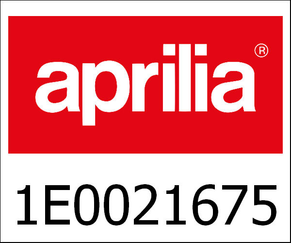 APRILIA / アプリリア純正 Panel Sub-Assy, Rr Door, Lh|1E0021675
