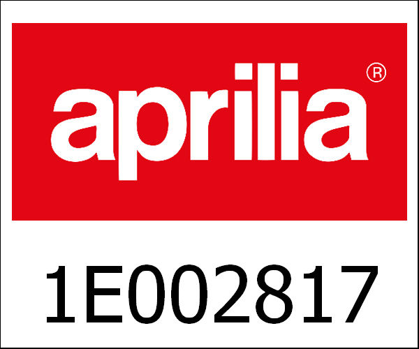 APRILIA / アプリリア純正 Lh Front Door Coating|1E002817