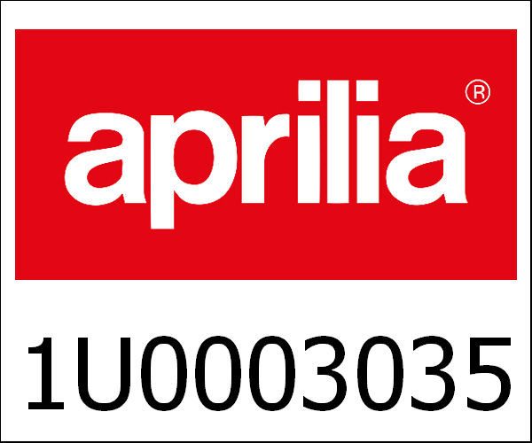 APRILIA / アプリリア純正 Productive Engine|1U0003035