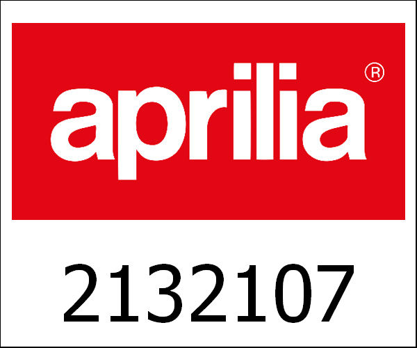 APRILIA / アプリリア純正 Open Box Body Rear Side|2132107