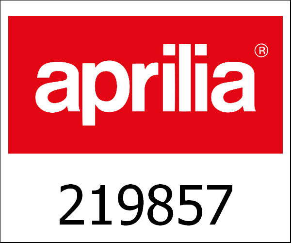 APRILIA / アプリリア純正 Antiediefstalplaat Vnx--Vsx|219857