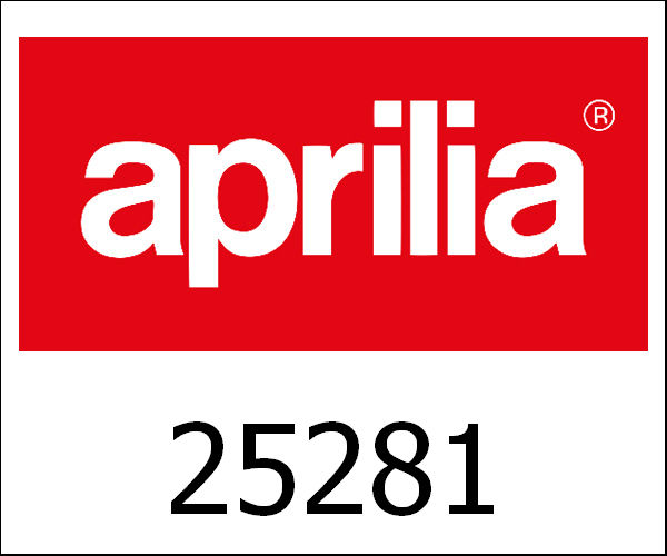 APRILIA / アプリリア純正 Sidecar Frame|25281