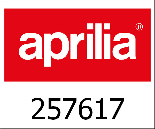 APRILIA / アプリリア純正 Veer-Vergrendelnok Nsl|257617