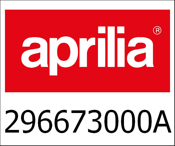 APRILIA / アプリリア純正 Panel|296673000A