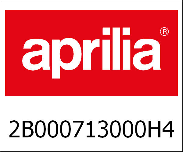APRILIA / アプリリア純正 Rh Spoiler|2B000713000H4