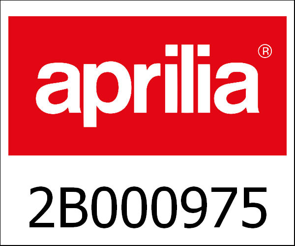 APRILIA / アプリリア純正 Frame|2B000975