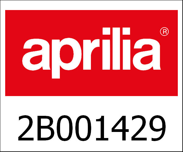 APRILIA / アプリリア純正 Complete Front Fork|2B001429