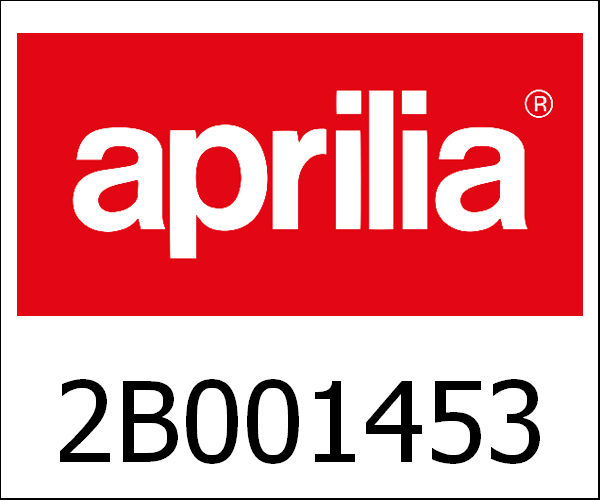 APRILIA / アプリリア純正 Int. Right Insert Adj. Swingarm Pivot -|2B001453
