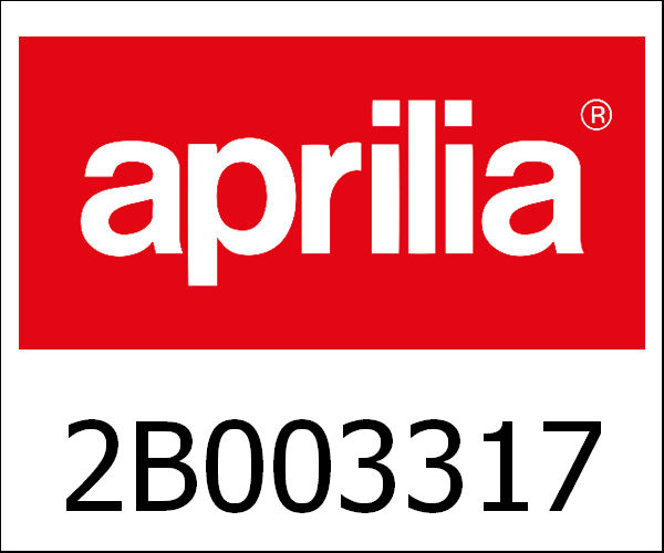 APRILIA / アプリリア純正 Lh Fork Leg|2B003317