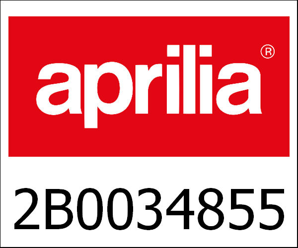 APRILIA / アプリリア純正 Fix Coupling Of Dumper|2B0034855