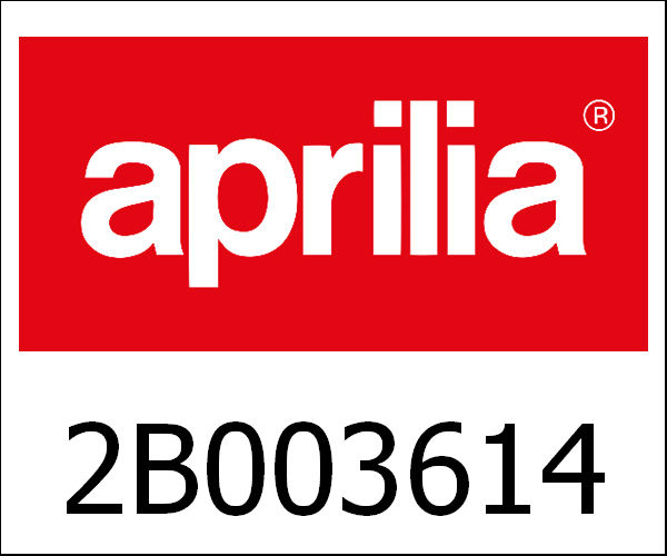 APRILIA / アプリリア純正 Front Abs Brake Pump|2B003614