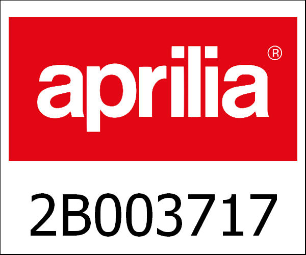 APRILIA / アプリリア純正 Lock Kit|2B003717