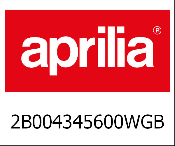 APRILIA / アプリリア純正 Swing Arm|2B004345600WGB