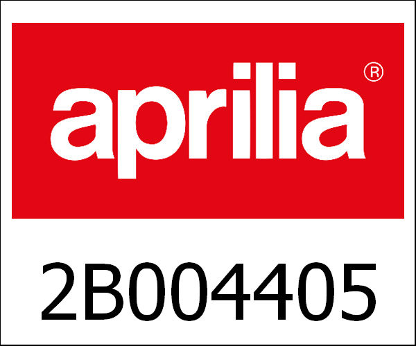 APRILIA / アプリリア純正 Complete Cylinder|2B004405