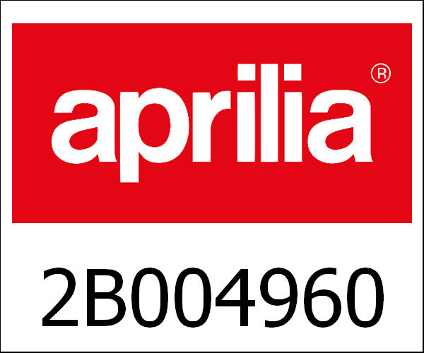 APRILIA / アプリリア純正 Connecting Rod With Bolts|2B004960