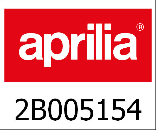 APRILIA / アプリリア純正 Complete Front Fork|2B005154