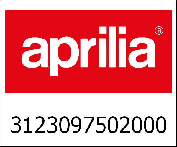 APRILIA / アプリリア純正 Koppelingslager Porter B. 0005-|3123097502000
