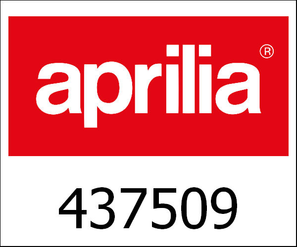 APRILIA / アプリリア純正 "StarGep.-Traeger (Korb) ""Gr"|437509