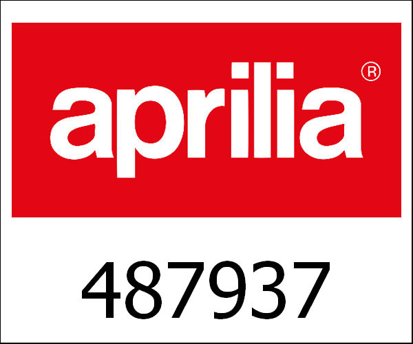 APRILIA / アプリリア純正 Sluitring M19|487937