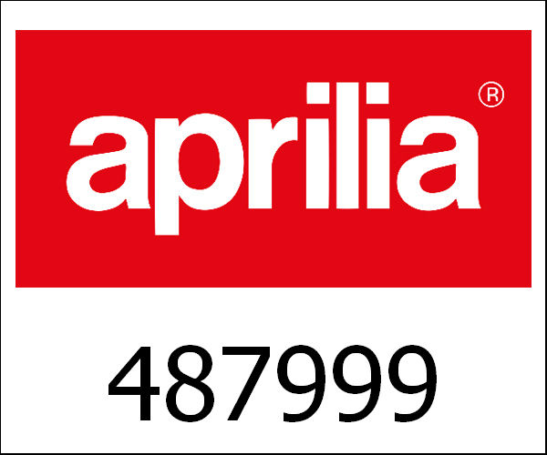 APRILIA / アプリリア純正 Zuigerveer M01-M04-M11 2-M|487999