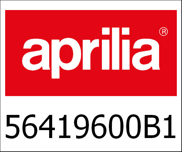 APRILIA / アプリリア純正 Voorwiel C22 Grijs 113|56419600B1