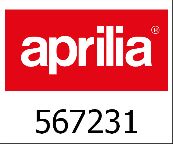 APRILIA / アプリリア純正 Voorbumperrooster C80|567231