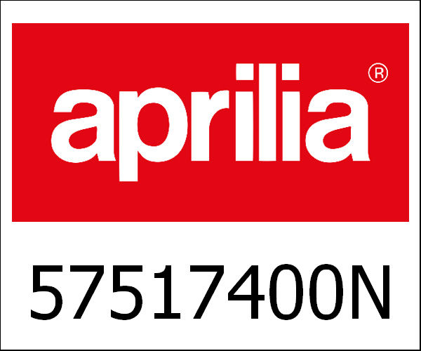 APRILIA / アプリリア純正 Tussenelement Typhoon 71 Pig|57517400N1