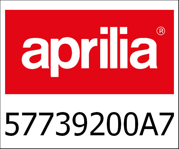 APRILIA / アプリリア純正 Rear Mudguard Platinum 686|57739200A7