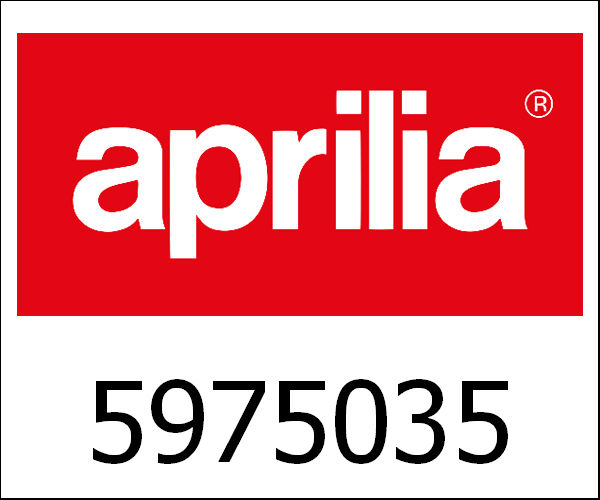APRILIA / アプリリア純正 Swing Arm|5975035