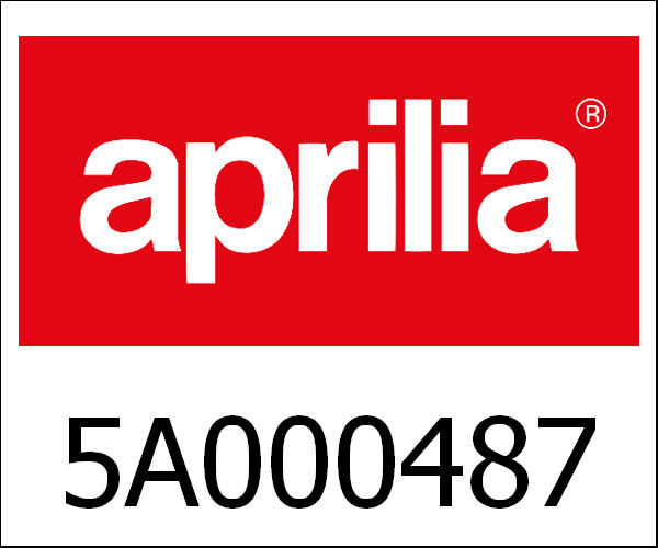 APRILIA / アプリリア純正 Swingarm|5A000487