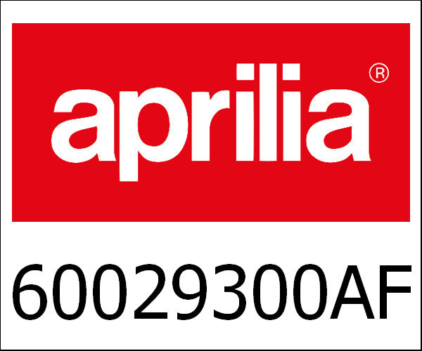 APRILIA / アプリリア純正 Ar Mudguard|60029300AF